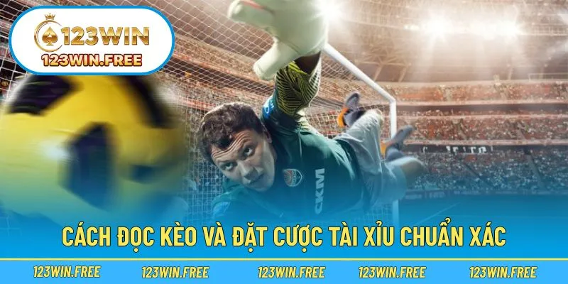 Cách xem và đặt kèo tài xỉu chính xác nhất