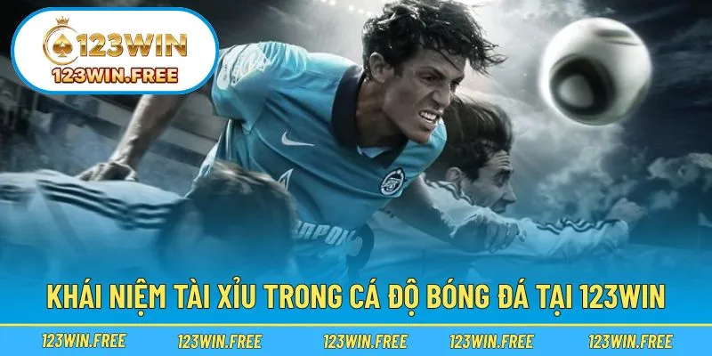 Giải nghĩa dễ hiểu về kèo tài xỉu bóng đá