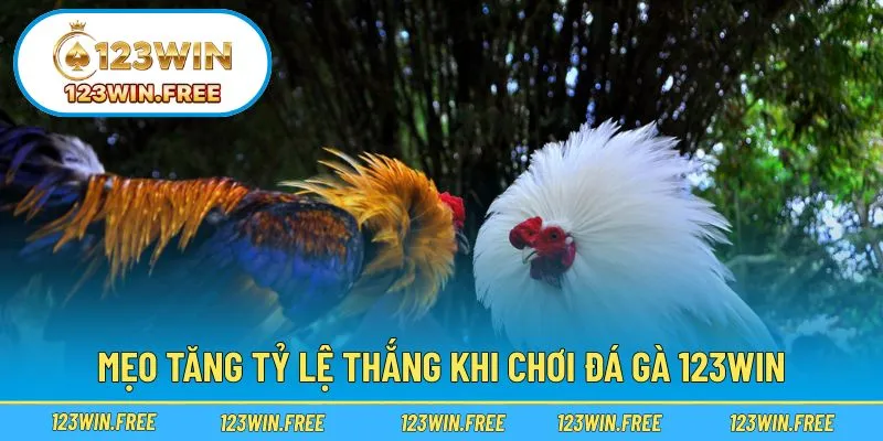 Nâng cao khả năng thắng nhờ chiến thuật khoa học