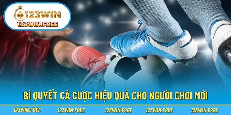 Những kinh nghiệm hữu ích giúp cược thủ nâng cao cơ hội thắng