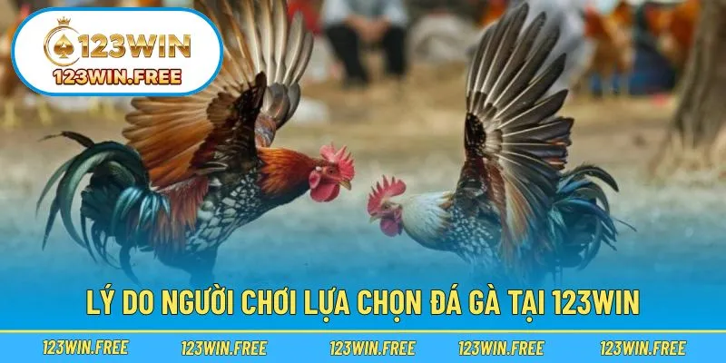 Trải nghiệm đẳng cấp, hấp dẫn và đáng tin cậy mỗi ngày