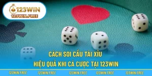 Cách Soi Cầu Tài Xỉu Hiệu Quả Khi Cá Cược Tại 123WIN