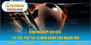 Kinh Nghiệm Soi Kèo Từ Cao Thủ Tại 123WIN Dành Cho Người Mới